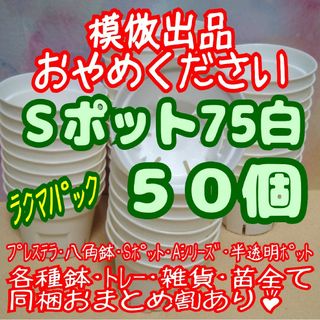 Sポット75白50個スリット鉢プラ鉢2.5号鉢相当多肉プレステラ-ラクマパック-(プランター)