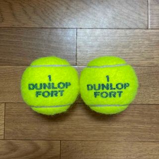 ダンロップ(DUNLOP)のダンロップテニスボール　2個　送料無料　1番(その他)