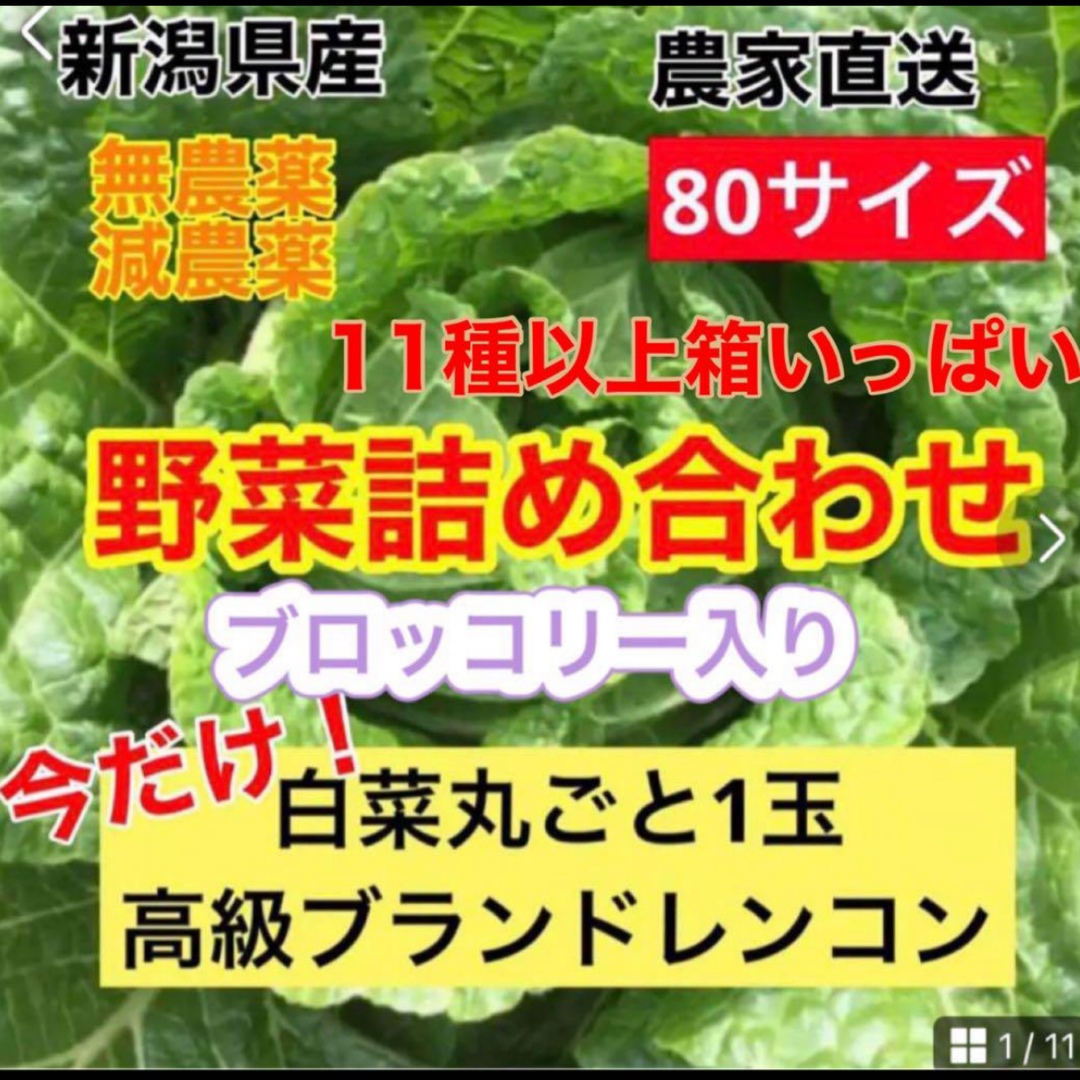 11/21迄！今だけ！白菜1玉！高級ブランドレンコン入り　新潟県産野菜セット80 食品/飲料/酒の食品(野菜)の商品写真