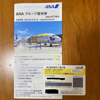 エーエヌエー(ゼンニッポンクウユ)(ANA(全日本空輸))のANA 株主優待　飛行機(その他)
