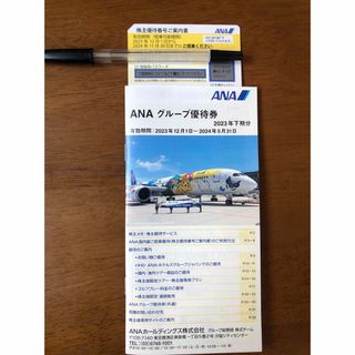 エーエヌエー(ゼンニッポンクウユ)(ANA(全日本空輸))のANA 株主優待(航空券)