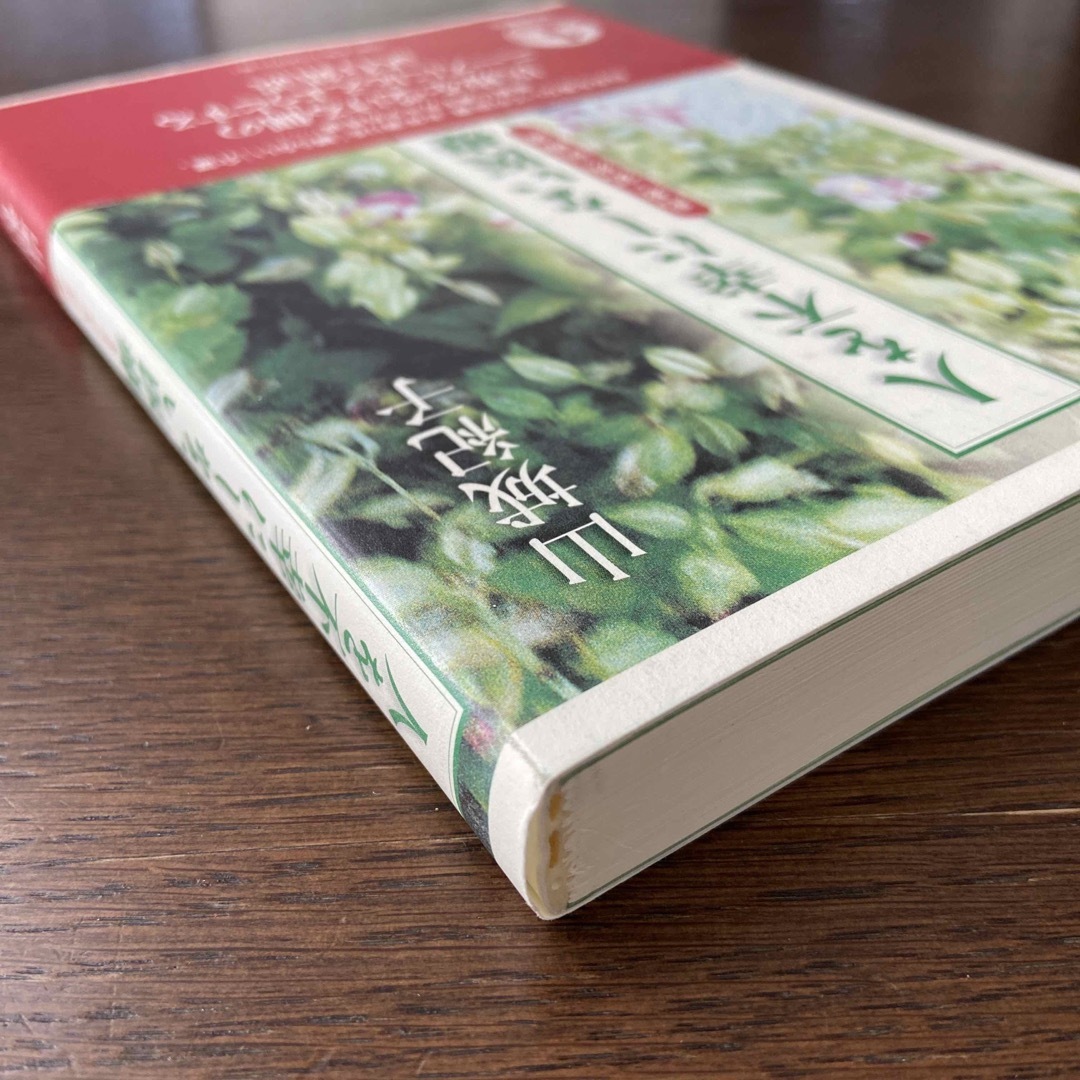 岩波書店(イワナミショテン)の【定価: 1700円＋税】人を不幸にしない医療 : 患者・家族・医療者 エンタメ/ホビーの本(健康/医学)の商品写真