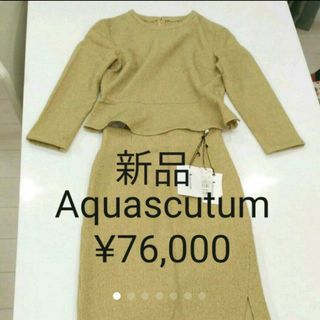 アクアスキュータム(AQUA SCUTUM)のアクアスキュータム　黄緑セットアップ(スーツ)