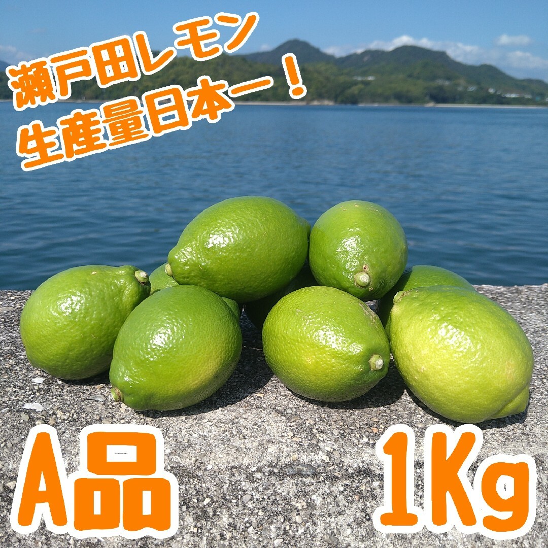 瀬戸田レモン 11個 A品 1Kg 広島県 瀬戸内 国産 しまなみ海道 食品/飲料/酒の食品(フルーツ)の商品写真