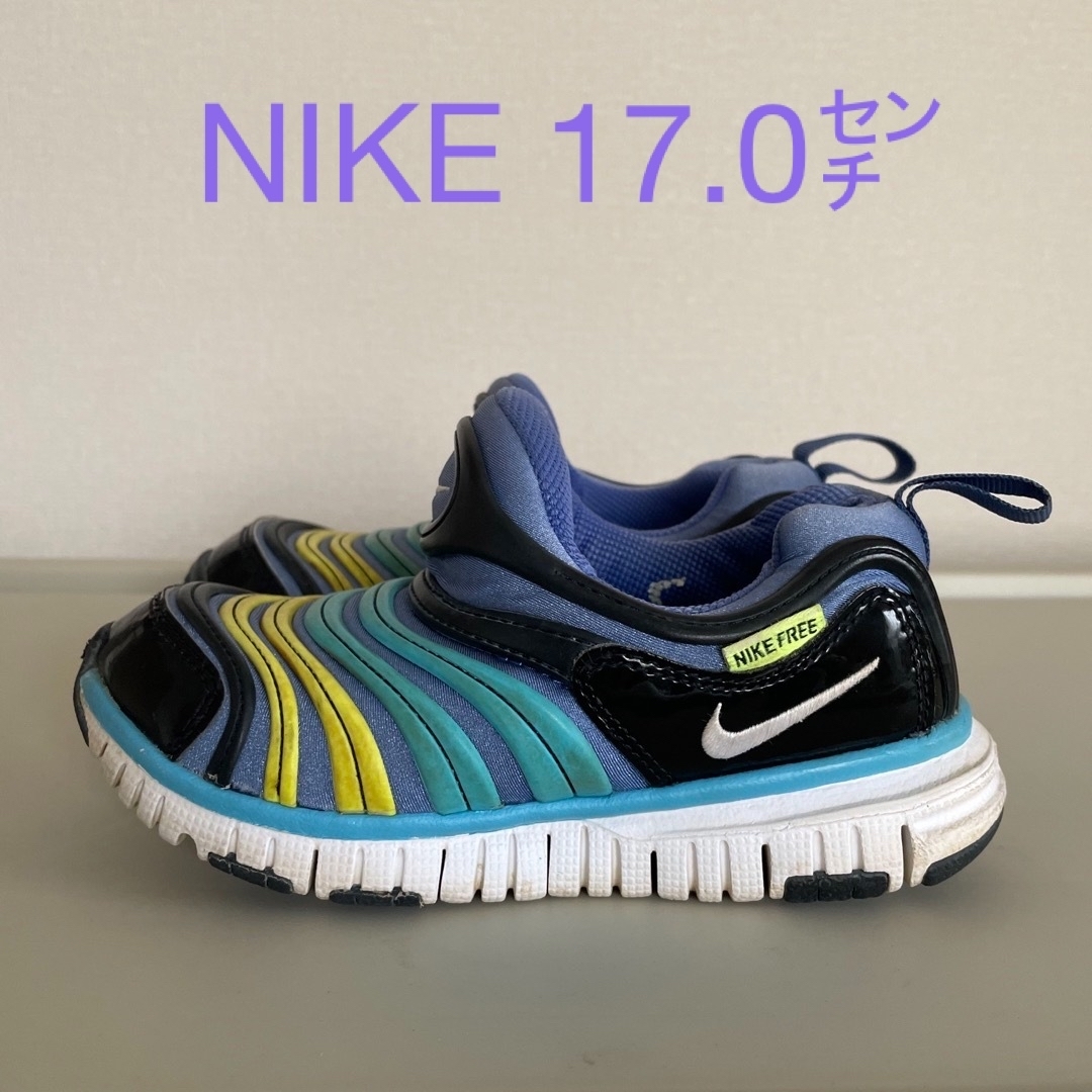 NIKE(ナイキ)のナイキ　NIKE キッズ　ダイナモ フリー PS ブルー  キッズ/ベビー/マタニティのキッズ靴/シューズ(15cm~)(スニーカー)の商品写真