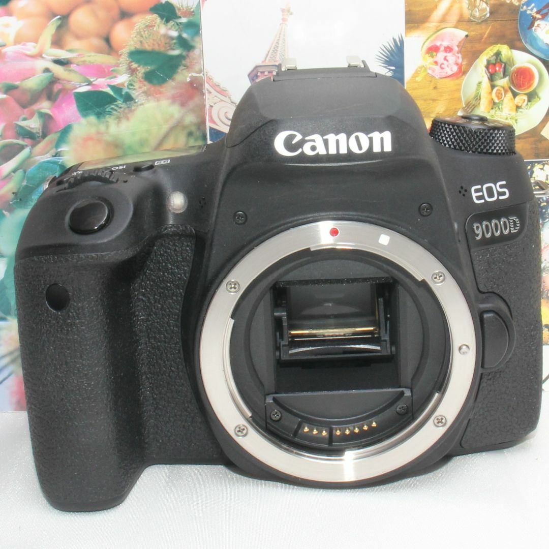 Canon EOS 9000D SDカード・予備バッテリー付き