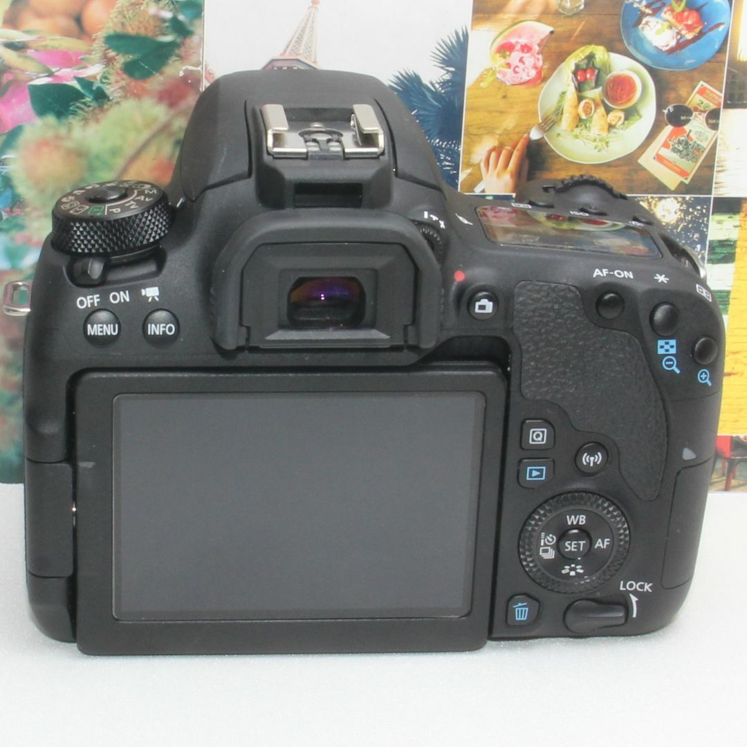 Canon EOS 9000D SDカード・予備バッテリー付き