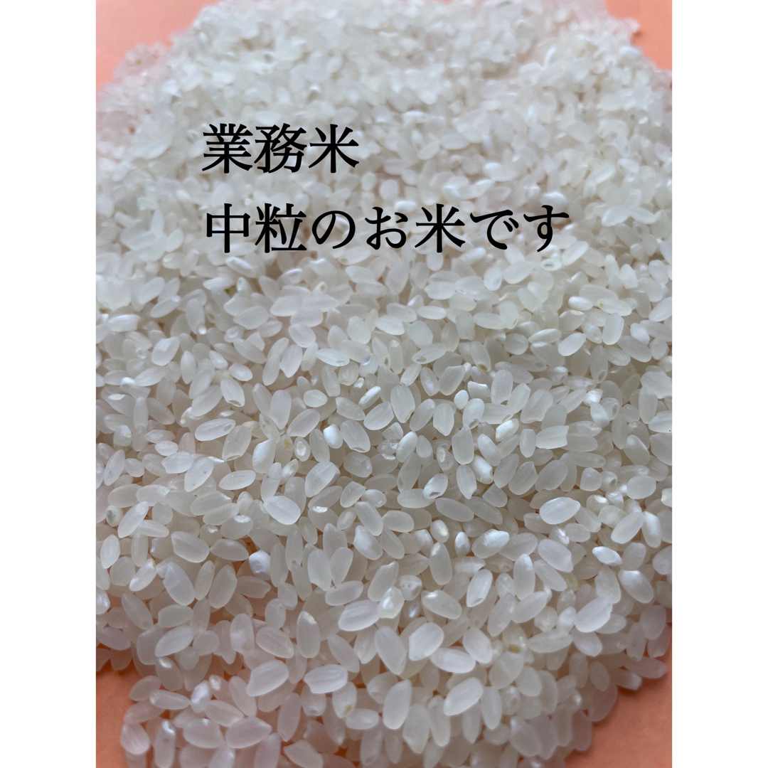 米/穀物はえぬき　20kg 中米　業務米　特別栽培米　山形　令和5件