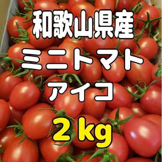 和歌山県産 ミニトマト アイコ ２kg(野菜)