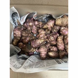 紫菊芋　３キロ (野菜)