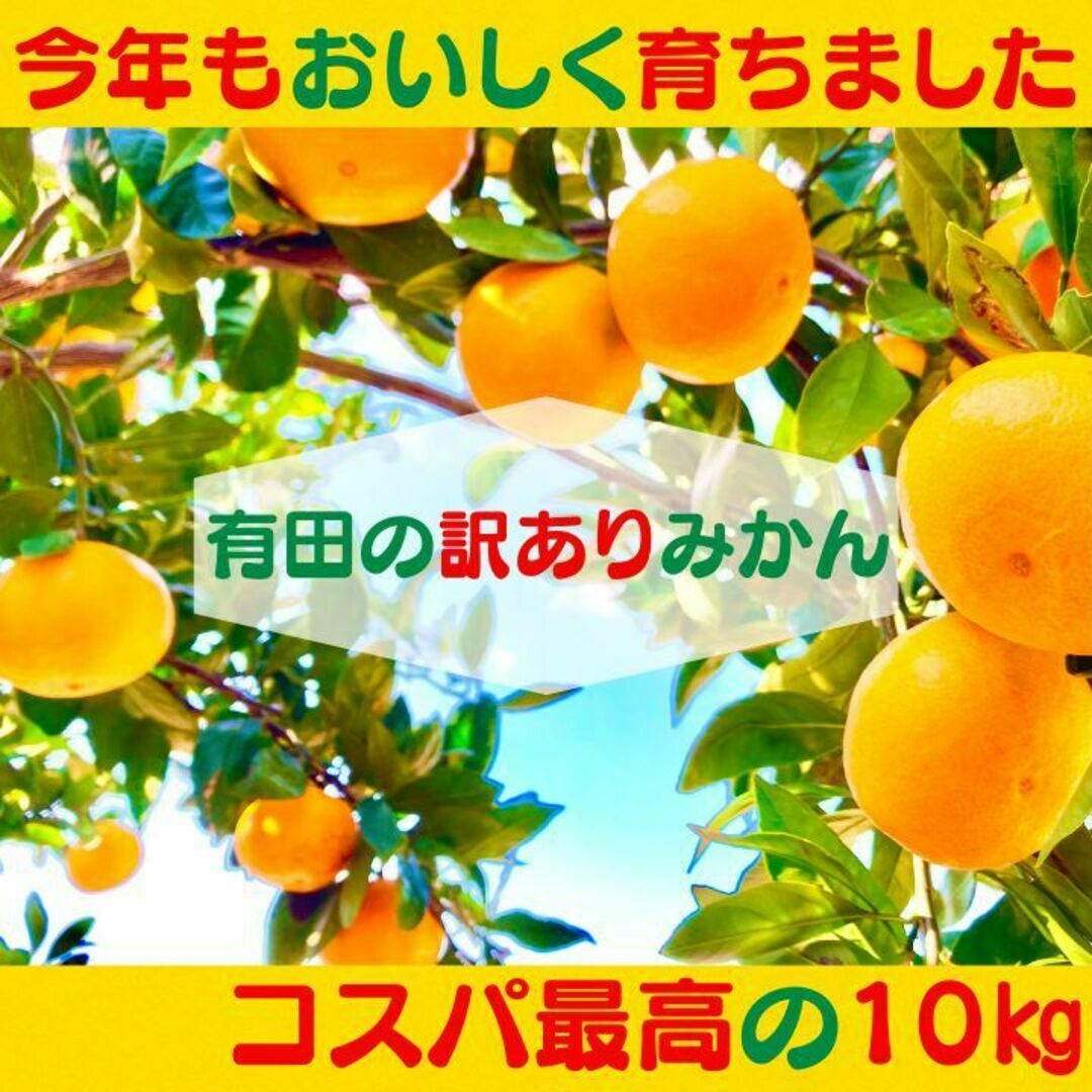 有田みかん 訳あり 10kg 早生みかん 減農薬 産地直送 濃厚 甘い 高糖度