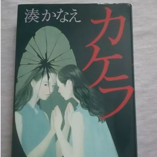 カケラ(文学/小説)