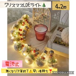 クリスマス LED電球 オーナメント(蛍光灯/電球)