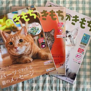 196☆ねこのきもち3冊セット(猫)