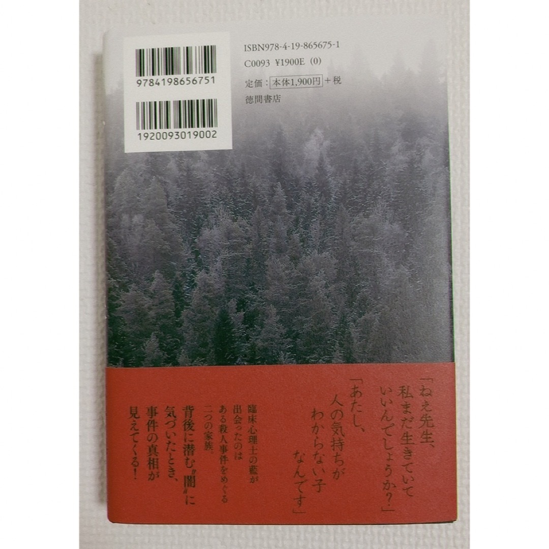 グレイの森 エンタメ/ホビーの本(文学/小説)の商品写真