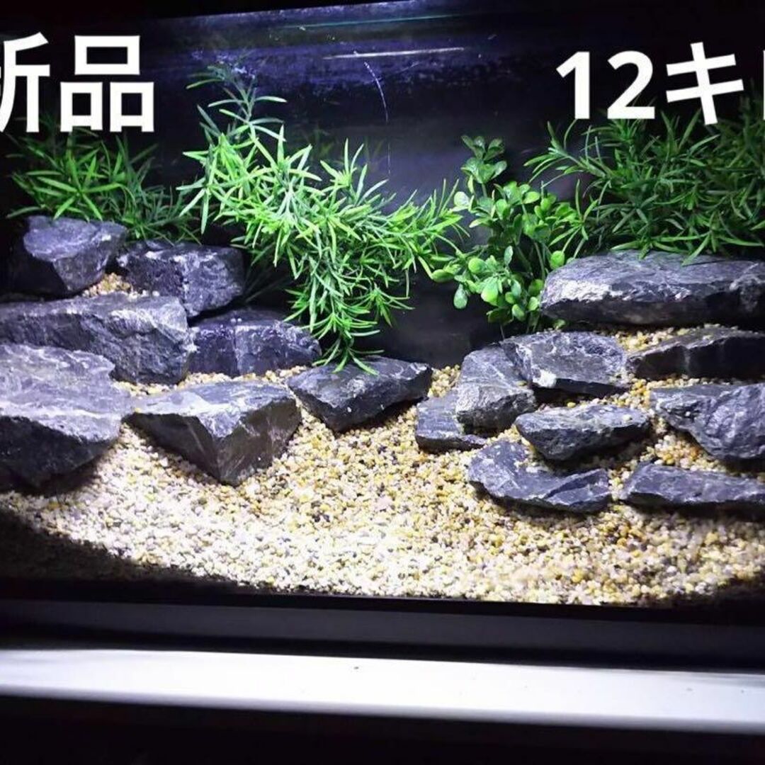 青龍石 21点(約11.850kg)石組レイアウトセット - 魚用品/水草