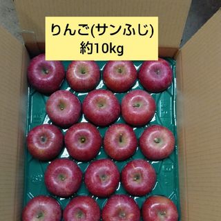 りんご(サンふじ) 約10kg(フルーツ)