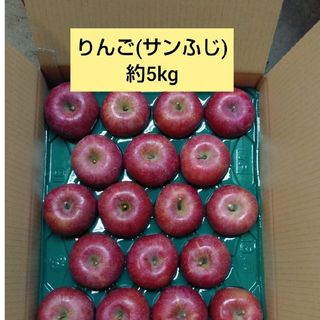 りんご(サンふじ) 約5kg(フルーツ)