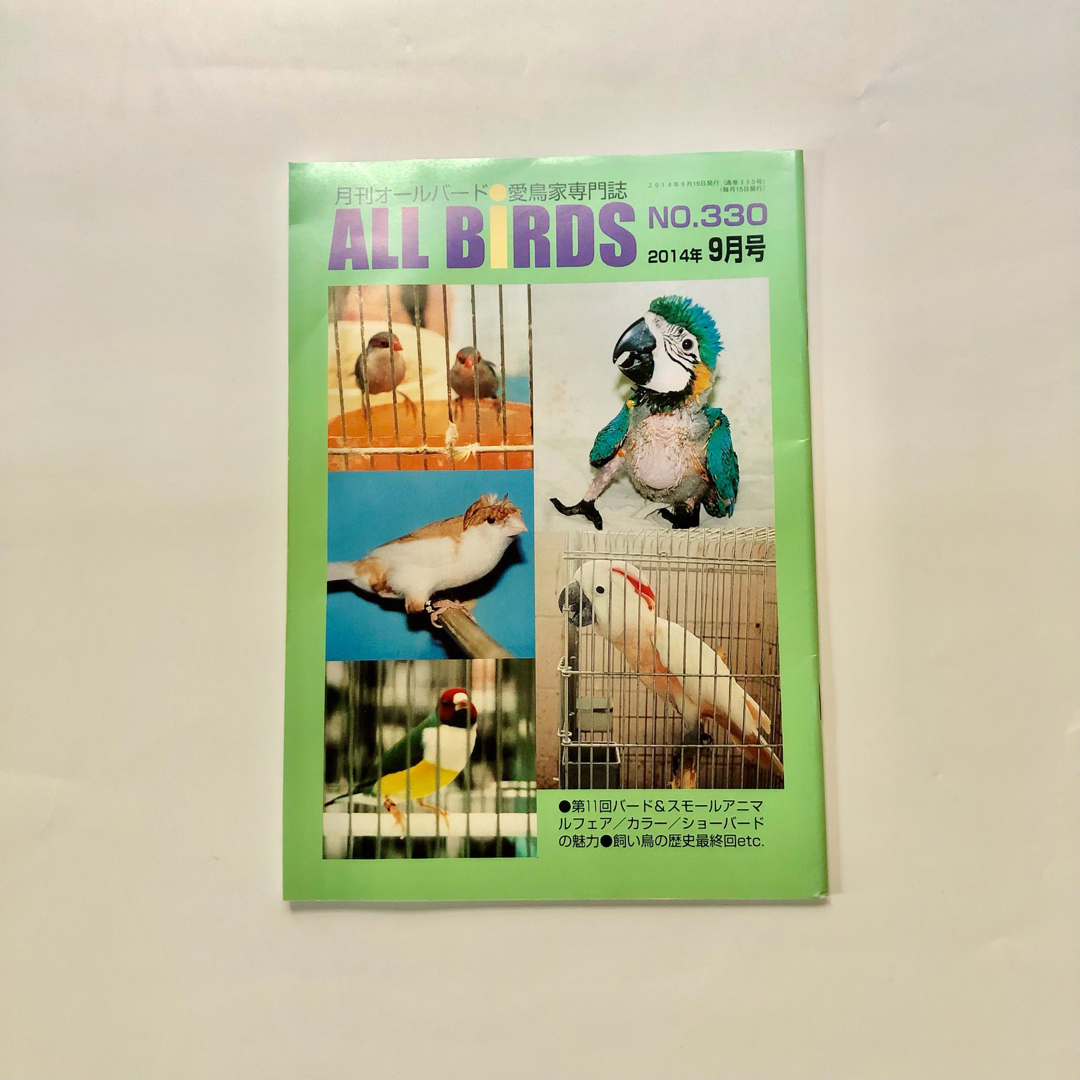 ALL BiRDS No.330 オールバード エンタメ/ホビーの本(趣味/スポーツ/実用)の商品写真
