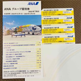 エーエヌエー(ゼンニッポンクウユ)(ANA(全日本空輸))のANA株主優待(航空券)