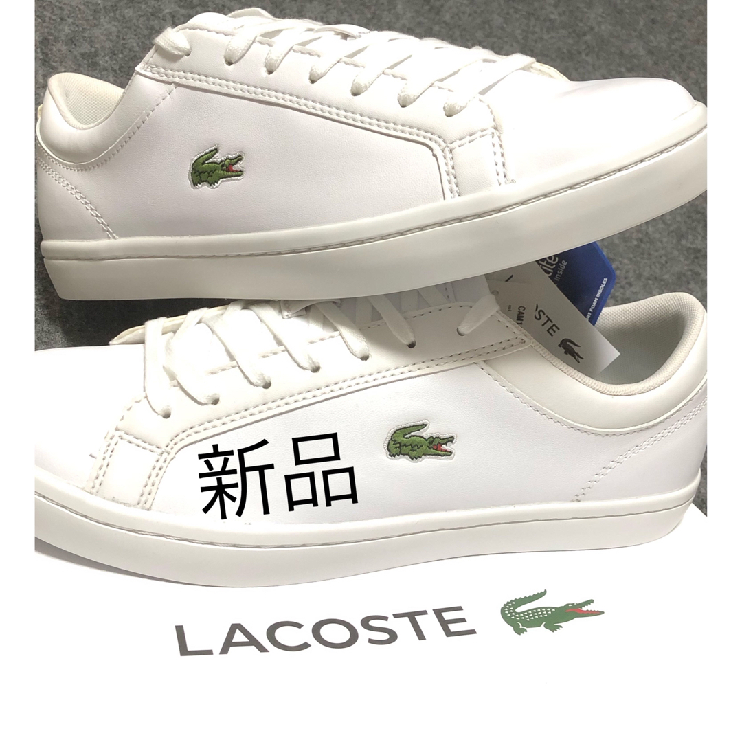 公式サイト 新品 ラコステ レザー スニーカー EVO LACOSTE メンズ 42A