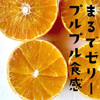 エヒメミカン(愛媛みかん)の愛媛県産　特別栽培　愛果28号5㎏箱（紅まどんなと同品種(フルーツ)