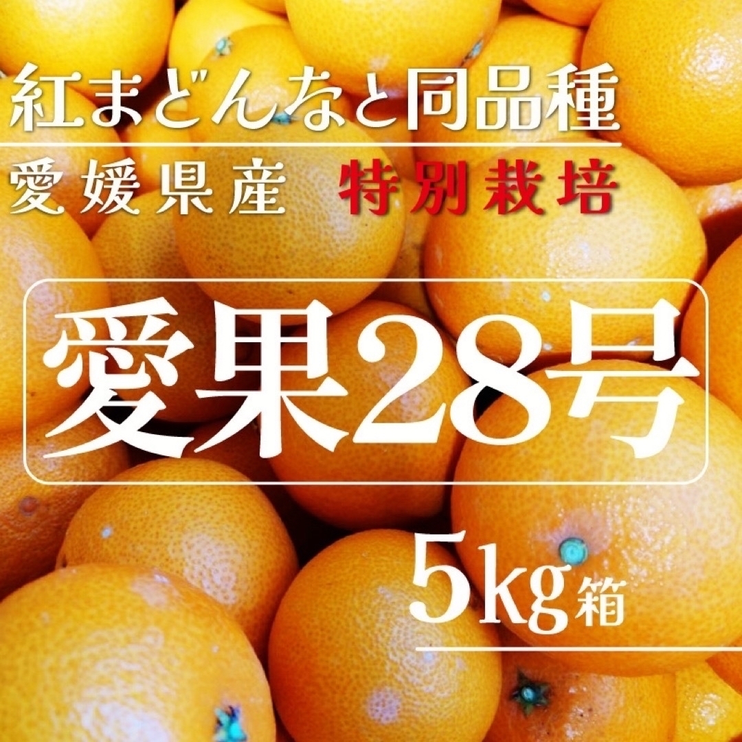 愛媛みかん(エヒメミカン)の愛媛県産特別栽培　愛果28号5㎏箱（紅まどんなと同品種 食品/飲料/酒の食品(フルーツ)の商品写真