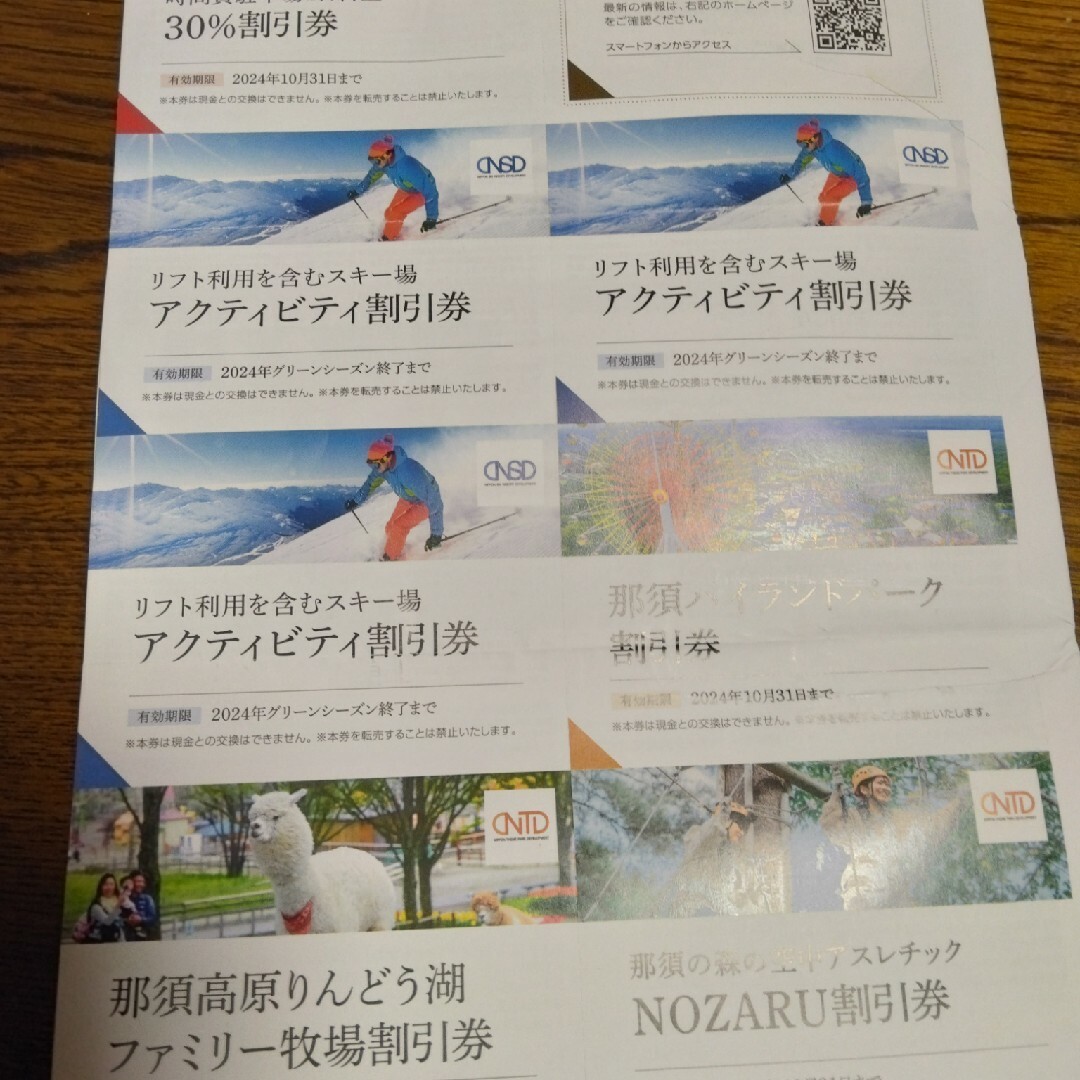 日本駐車場開発　株主優待券 チケットの施設利用券(遊園地/テーマパーク)の商品写真