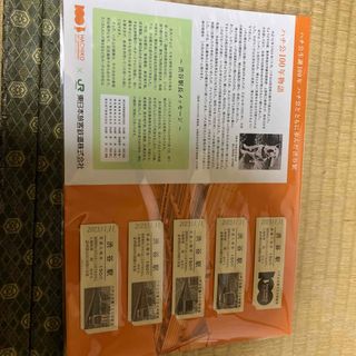 限定品　ハチ公100年物語　記念入場券(鉄道乗車券)