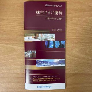 翌日着可能❗日本郵便ラクマより最速❗✨西武株主さま共通優待割引券✨10枚組