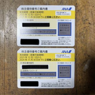 エーエヌエー(ゼンニッポンクウユ)(ANA(全日本空輸))の【ANA優待】2枚＋冊子1冊(その他)