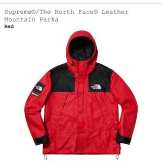SupremeTHENORTH FACE マウンテンシュプリームノースフェイス