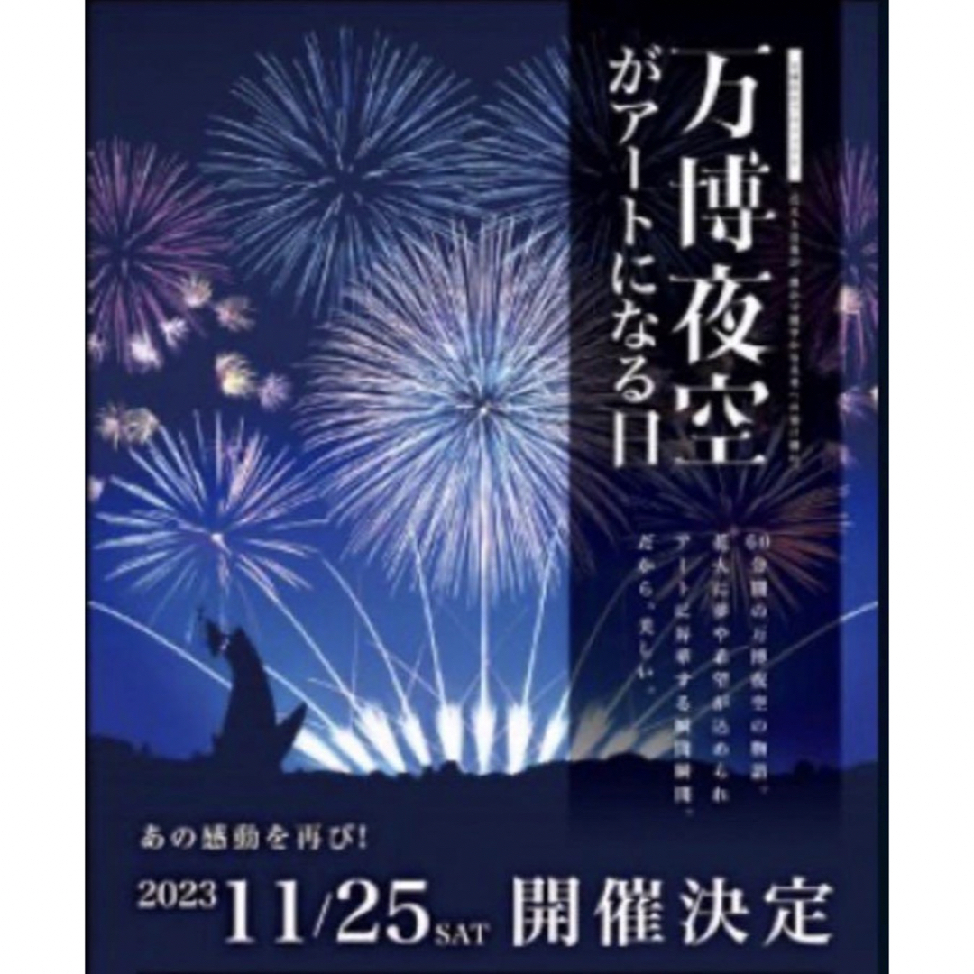 万博花火　パノラマシート2枚 チケットのチケット その他(その他)の商品写真