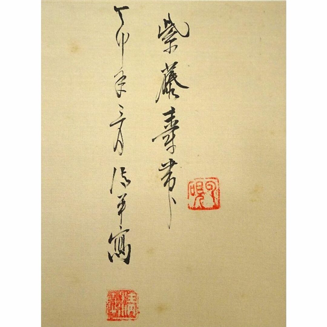 掛軸 清華『紫藤に寿帯鳥 花鳥図』中国画 絹本 肉筆 掛け軸 a11107 掛軸 清華『紫藤に寿帯鳥 花鳥図』中国画 絹本 肉筆 掛け軸 a11107
