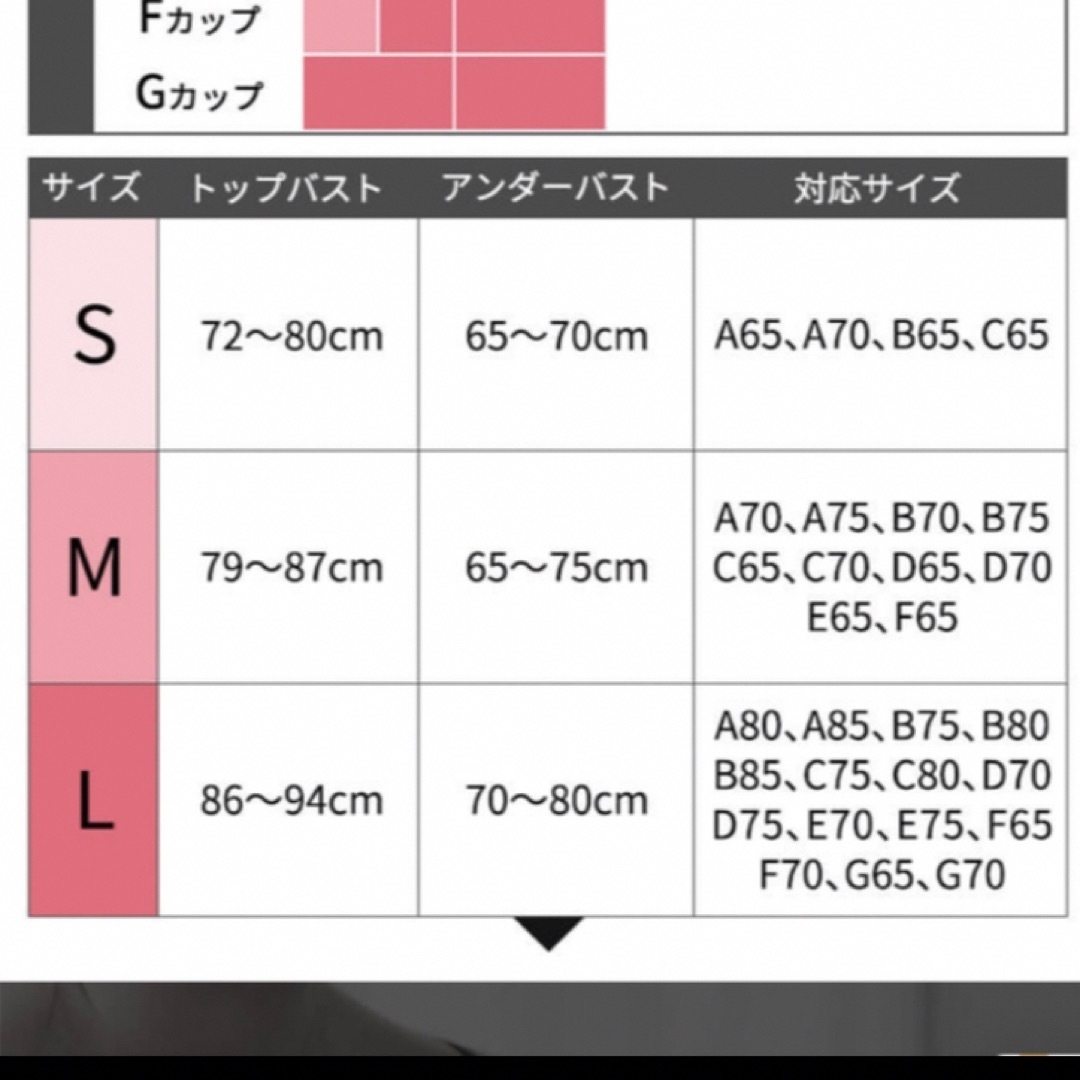 AGARISM(アガリズム)のAGARISM  GYDA スタイリング ブラ Ｌサイズ 新品　2枚セット レディースの下着/アンダーウェア(ブラ)の商品写真