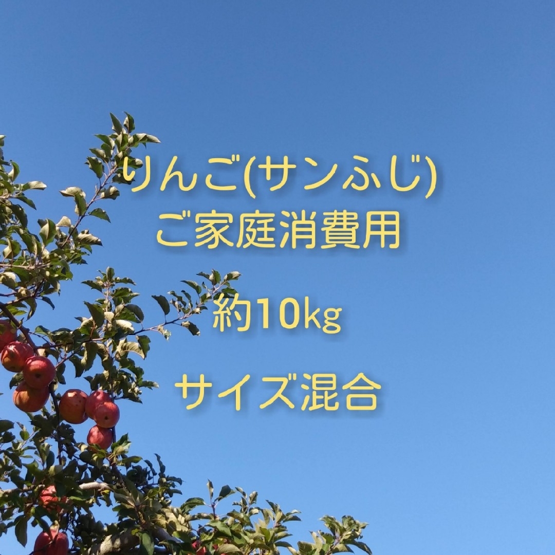 りんご(サンふじ)訳ありご家庭消費用 約10kg 食品/飲料/酒の食品(フルーツ)の商品写真