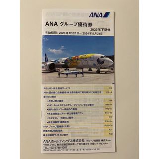 ジャル(ニホンコウクウ)(JAL(日本航空))のANA グループ優待券 株主優待 18枚 冊子1冊 2024年5月31日まで(その他)