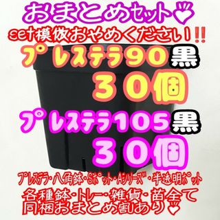 【スリット鉢】プレステラ黒90＆105 各30個 多肉植物 プラ鉢(プランター)