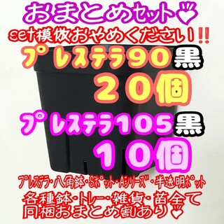 【スリット鉢】プレステラ90黒20個・105黒10個 多肉植物 プラ鉢(プランター)