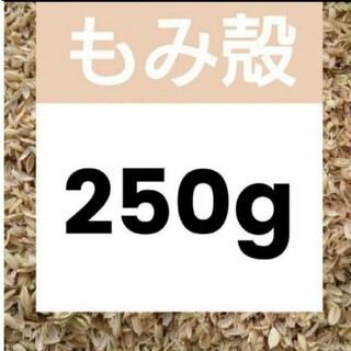 令和5年 もみ殻 籾殻  250g  北海道産 農家直送 お試し 即購入大歓迎3(プランター)