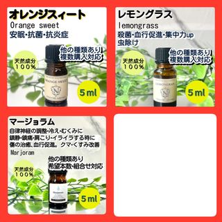 精油 アロマオイル 3本セット 天然 5ml(エッセンシャルオイル（精油）)