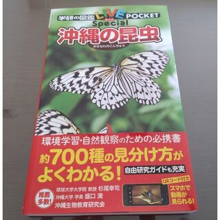 ガッケン(学研)の沖縄の昆虫(絵本/児童書)