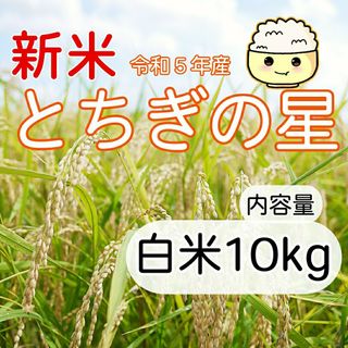 新米 とちぎの星 白米 10kg ご購入後に精米します！(米/穀物)