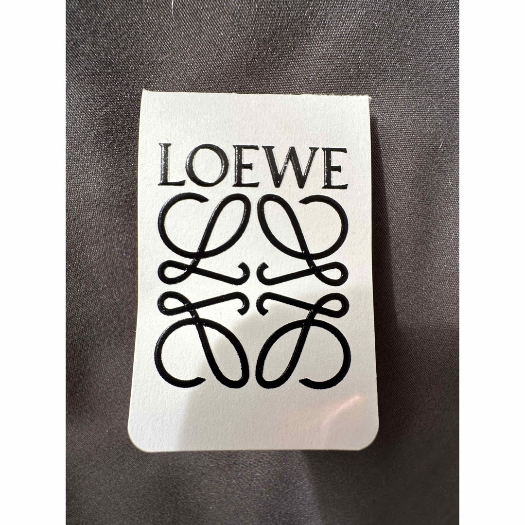 LOEWE(ロエベ)の《22年AW》LOEWE モヘアマフラー　マルチカラー メンズのファッション小物(マフラー)の商品写真