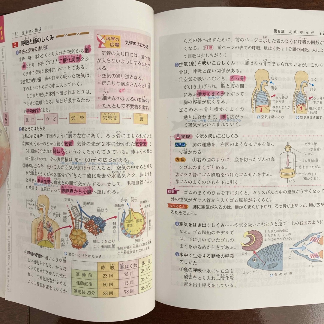 小学高学年自由自在理科 エンタメ/ホビーの本(その他)の商品写真