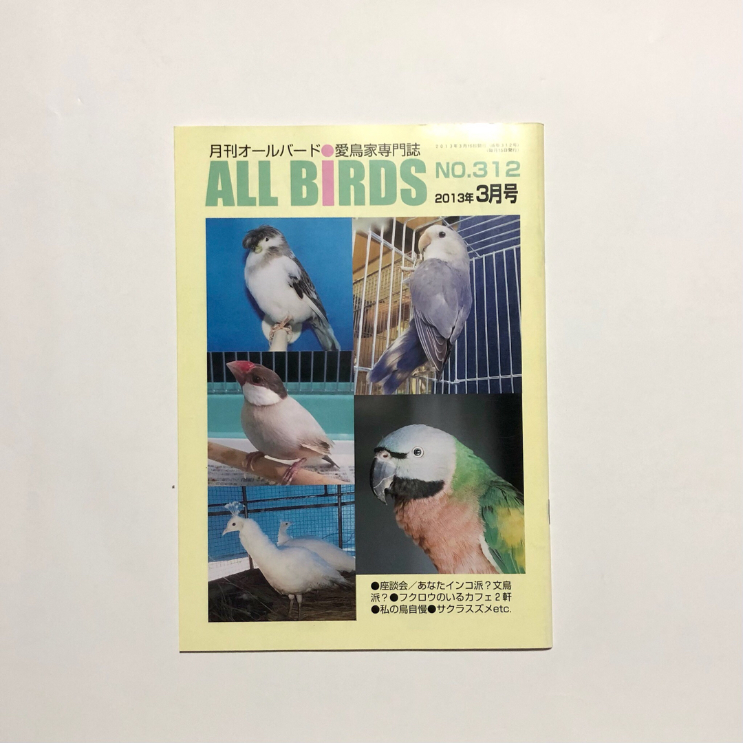 ALL BiRDS No.312 エンタメ/ホビーの雑誌(専門誌)の商品写真