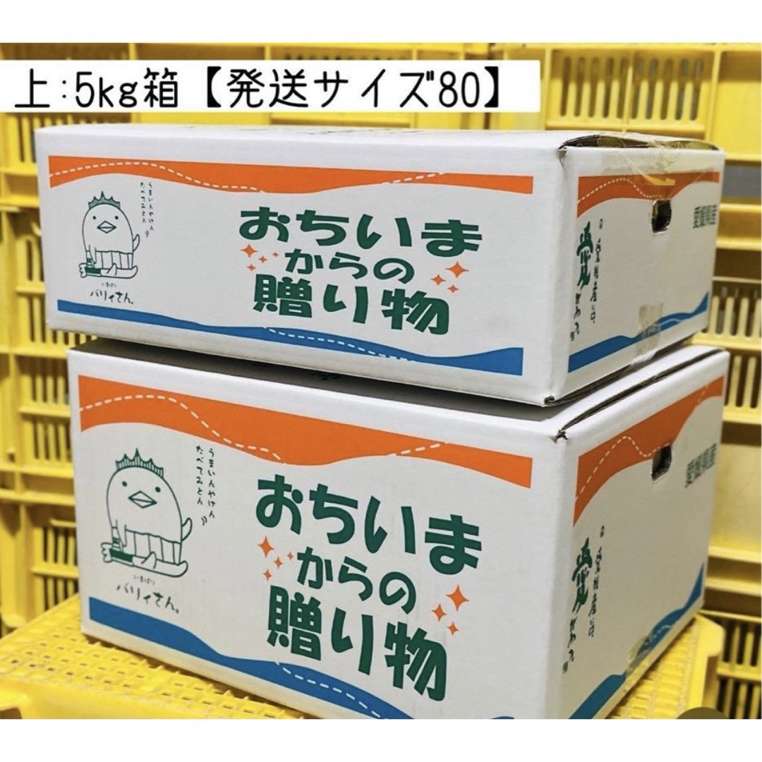 愛媛みかん(エヒメミカン)の愛媛県産　特別栽培　愛果28号5㎏箱（紅まどんなと同品種 食品/飲料/酒の食品(フルーツ)の商品写真