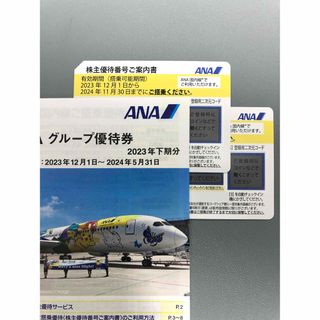 エーエヌエー(ゼンニッポンクウユ)(ANA(全日本空輸))のANA株主優待券2枚　グループ優待券1冊(その他)