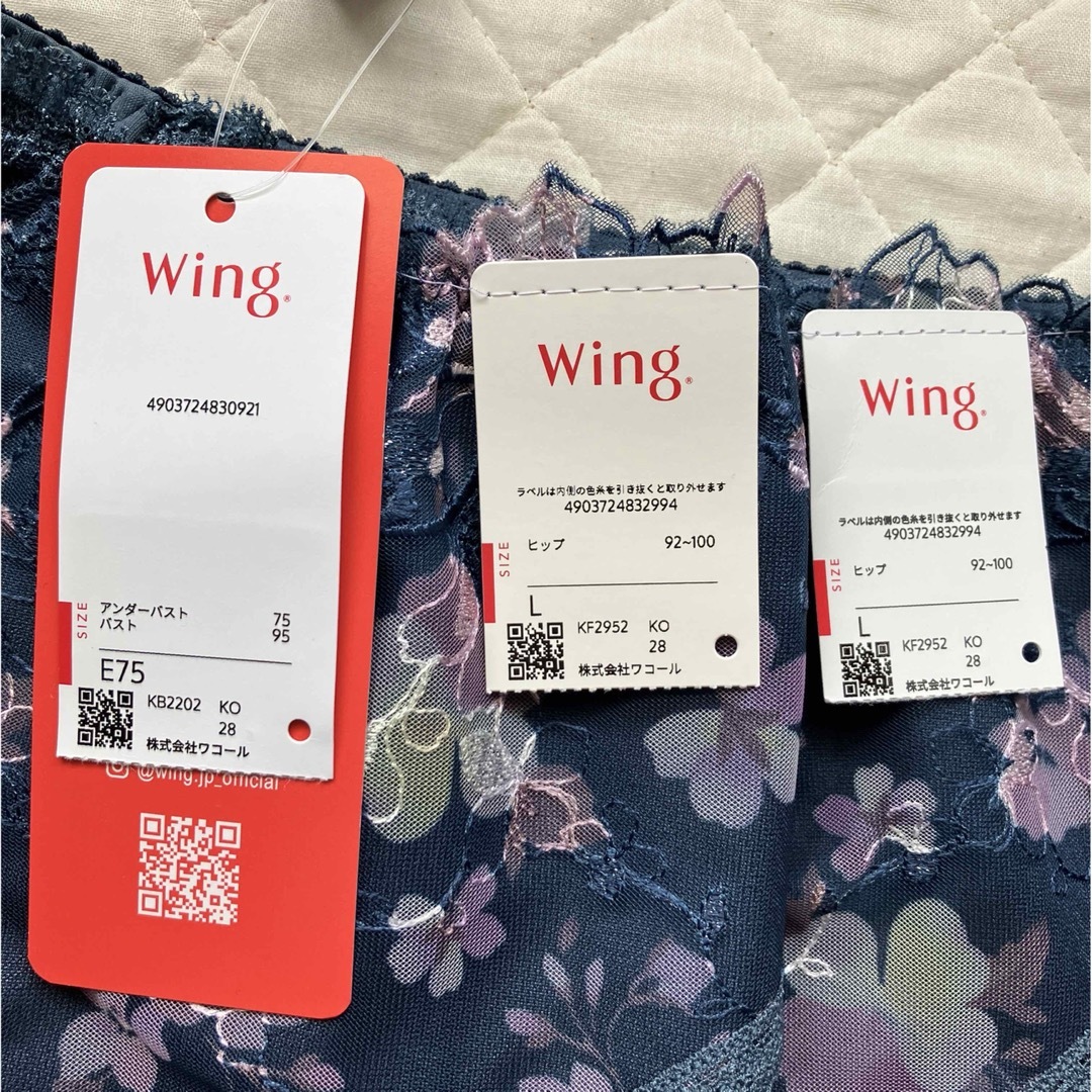 Wacoal(ワコール)のWacoal wing【エアリーソフトブラ】E75ブラ&ペアショーツLサイズ レディースの下着/アンダーウェア(ブラ&ショーツセット)の商品写真