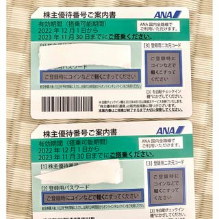 エーエヌエー(ゼンニッポンクウユ)(ANA(全日本空輸))のANA株主優待　2023年11月30日まで(航空券)